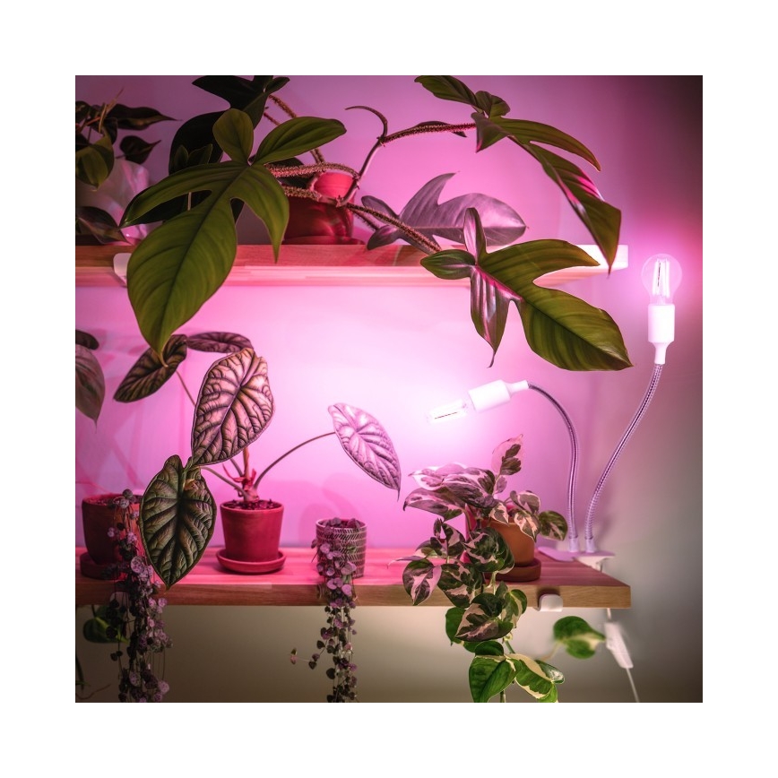 Pielāgojama galda lampa ar stiprinājumu augu audzēšanai PLANTY 2xE27/30W/230V balta