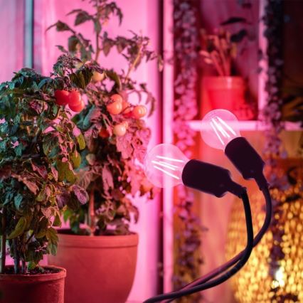 Pielāgojama galda lampa ar stiprinājumu augu audzēšanai PLANTY 2xE27/30W/230V melna