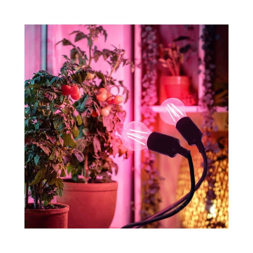 Pielāgojama galda lampa ar stiprinājumu augu audzēšanai PLANTY 2xE27/30W/230V melna