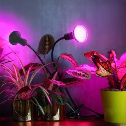 Pielāgojama galda lampa ar stiprinājumu augu audzēšanai PLANTY 2xE27/30W/230V melna