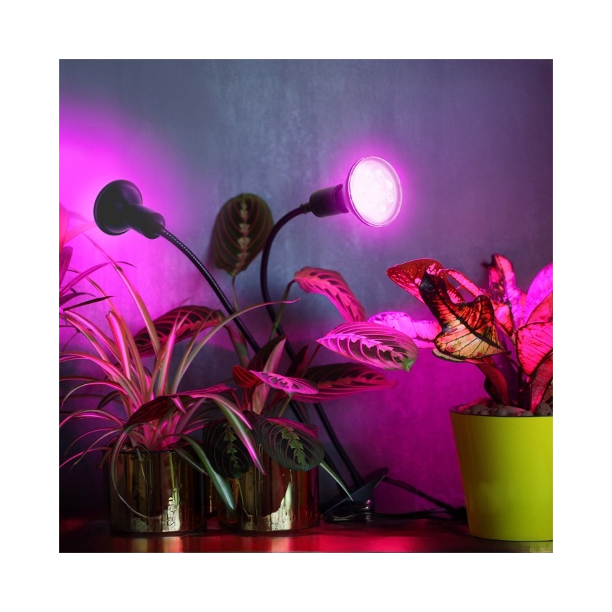 Pielāgojama galda lampa ar stiprinājumu augu audzēšanai PLANTY 2xE27/30W/230V melna