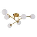 Piestiprināma griestu lustra DORADO 6xG9/28W/230V zelta