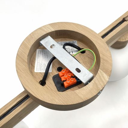 Plafons ANTONIO 2xG9/5W/230V ozols/balts