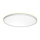 Prezent 27304 - LED Vannas istabas griestu lampa CORDIA LED/12W/230V 3000/6000K IP54 balta