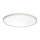 Prezent 27306 - LED Vannas istabas griestu vítidlo CORDIA LED/18W/230V 3000/6000K IP54 balta