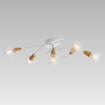 Prezent 27506 - Pieliekama lustra TAMETA 5xE14/40W/230V
