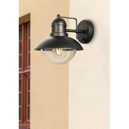 Prezent 39036 - Āra sienas lampa HECTOR 1xE27/60W/230V IP44