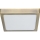 Prezent 49064 - LED Griestu lampa LENYS LED/22W/230V 4000K 22,5x22,5 cm misiņš