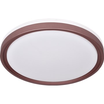 Prezent 71344 - FLOREN regulējamā LED griestu lampa, 30 W, 230 V, 3000/4000/6500 K, diametrs 41,5 cm, brūna