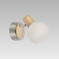 Prezent 75565 - Sienas lampa TONG 1xE14/25W/230V oša