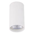Punktveida gaismeklis TUNE S 1xGU10/10W/230V 10 cm balts