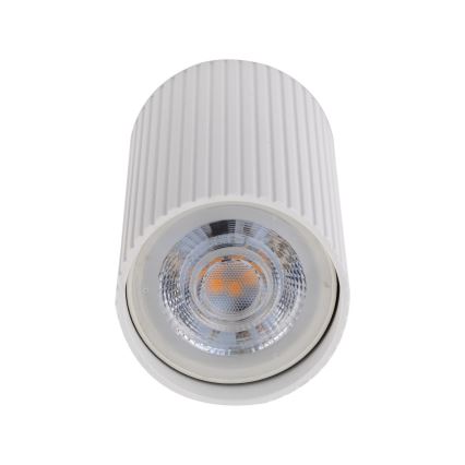 Punktveida gaismeklis TUNE S 1xGU10/10W/230V 10 cm balts