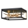 Quintiesse - LED griestu gaismeklis STYX LED/8W/230V melns/zelts