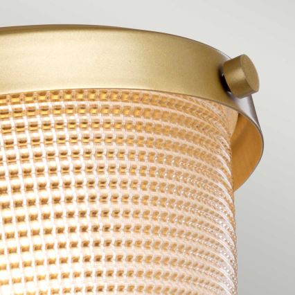 Quoizel - Vannas istabas griestu lampa DUBLIN 1xE27/40W/230V IP44 zelta