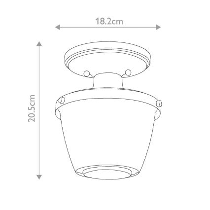 Quoizel - Vannas istabas griestu lampa DUBLIN 1xE27/40W/230V IP44 zelta