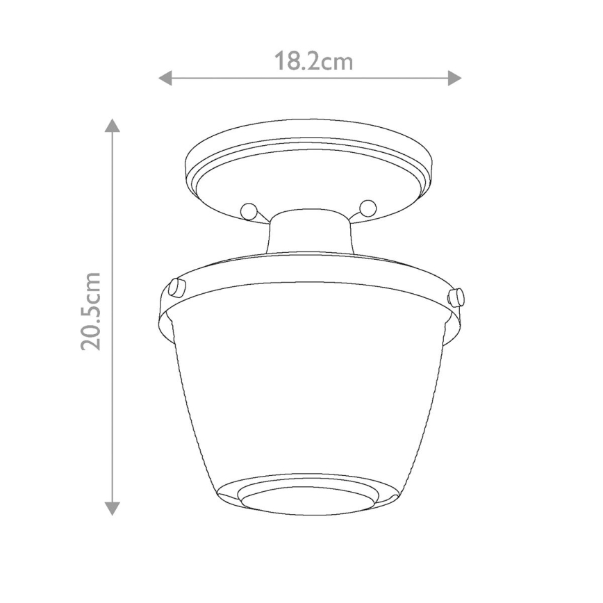 Quoizel - Vannas istabas griestu lampa DUBLIN 1xE27/40W/230V IP44 zelta