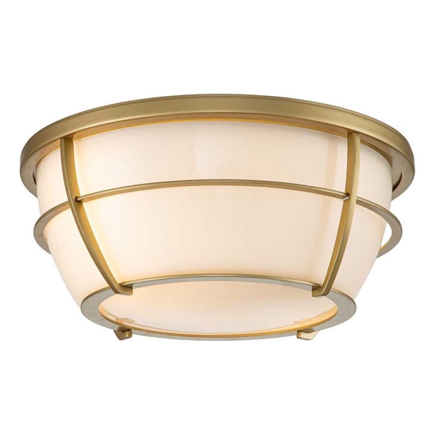 Quoizel - Vannas istabas griestu lampa CHANCE 2xE27/60W/230V IP44