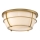 Quoizel - Vannas istabas griestu lampa CHANCE 2xE27/60W/230V IP44