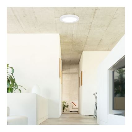 Rabalux - LED Griestu lampa ar sensoru LED/18W/230V 4000K 22,5 cm