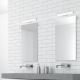 Rabalux - LED vannas istabas spoguļa gaismeklis LED/6W/230V 34cm IP44
