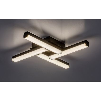 Rabalux - LED Vannas istabas griestu gaismeklis LED/18W/230V IP44