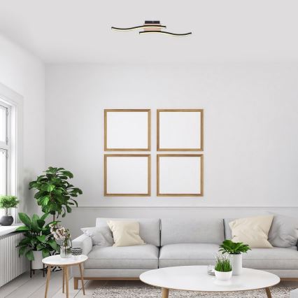 Rabalux - LED Virsapmetuma lustra 2xLED/12W/230V