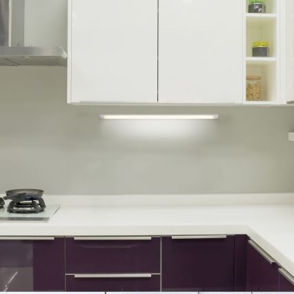 Rabalux - LED Virtuves zem skapīša lampa 1xG13/36W/230V 128 cm