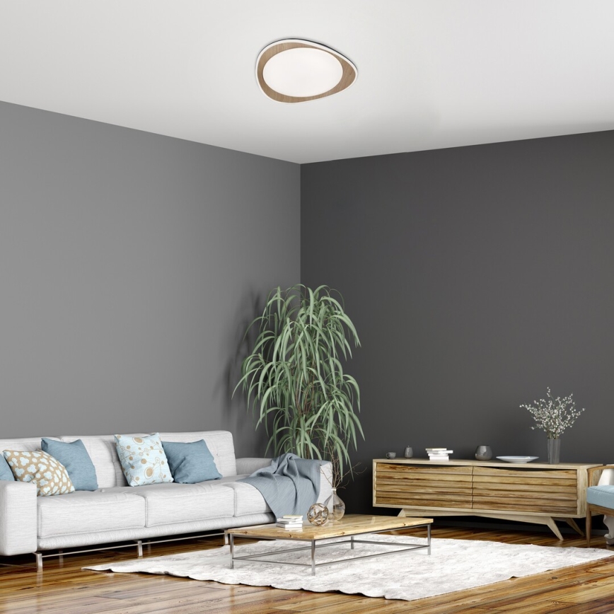 Rabalux - LED griestu gaismeklis LED/24W/230V Ø 45 cm