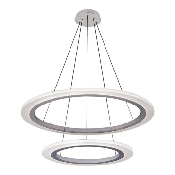 Rabalux 2429 - LED lustra ADRIENNE LED/62W/230V sudraba