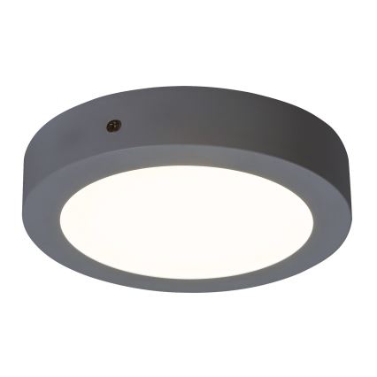 Rabalux - LED griestu gaismeklis LED/12W/230V