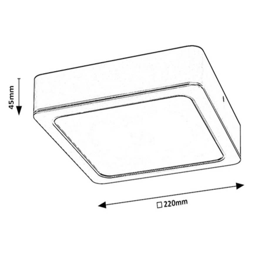 Rabalux - LED Griestu lampa LED/24W/230V 22x22 cm