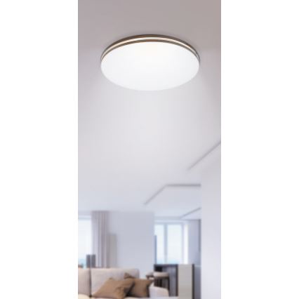 Rabalux - LED griestu gaismeklis 1xLED/18W/230V