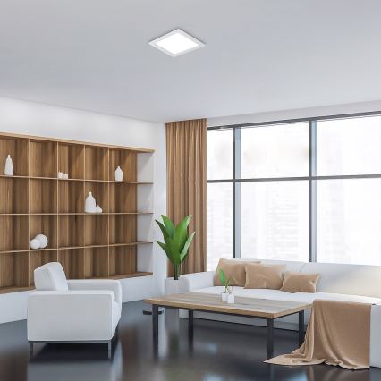 Rabalux - LED Iegremdējama lampa LED/24W/230V 22x22 cm