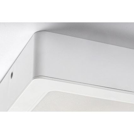 Rabalux - LED Griestu gaismeklis LED/12W/230V 14,5 cm