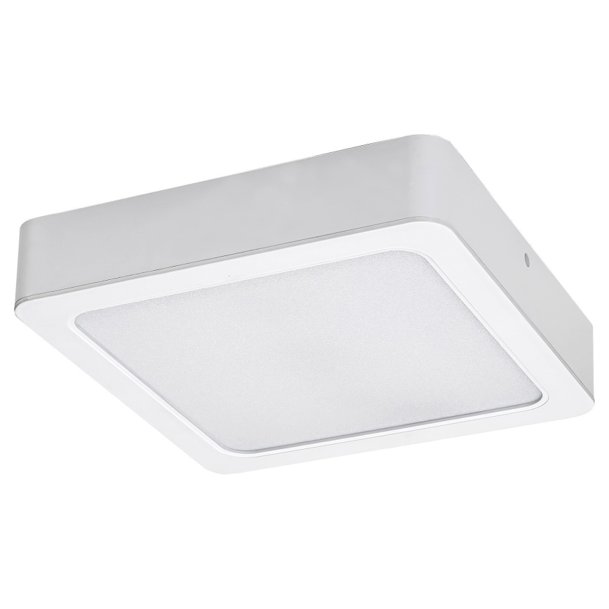 Rabalux - LED Griestu lampa LED/24W/230V 22x22 cm