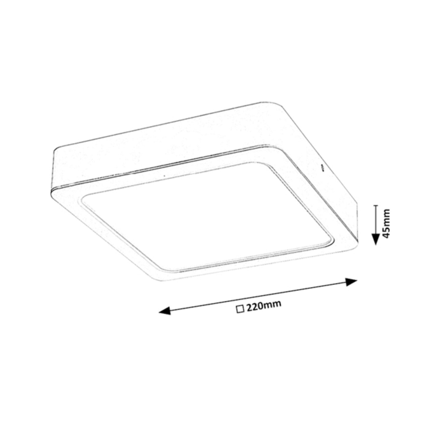 Rabalux - LED Griestu lampa LED/24W/230V 22x22 cm