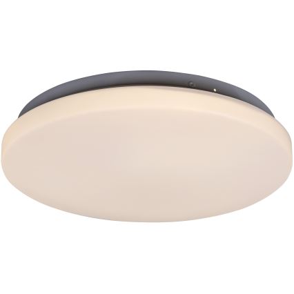Rabalux - LED griestu lampa, 20 W, 230 V, Ø 29 cm