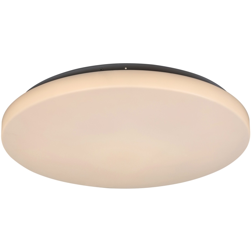 Rabalux - LED Griestu lampa LED/32W/230V