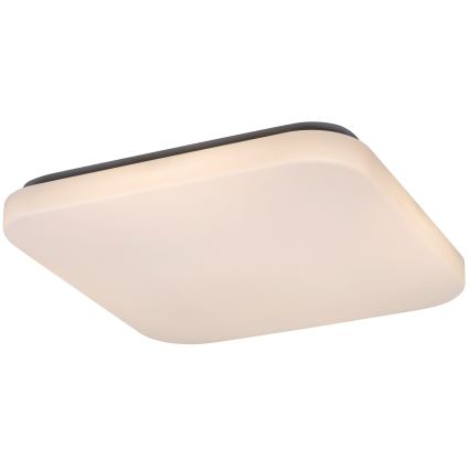 Rabalux - LED griestu gaismeklis LED/32W/230V