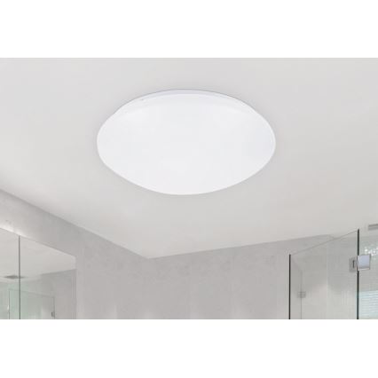 Rabalux - LED griestu gaismeklis 1xLED/24W/230V