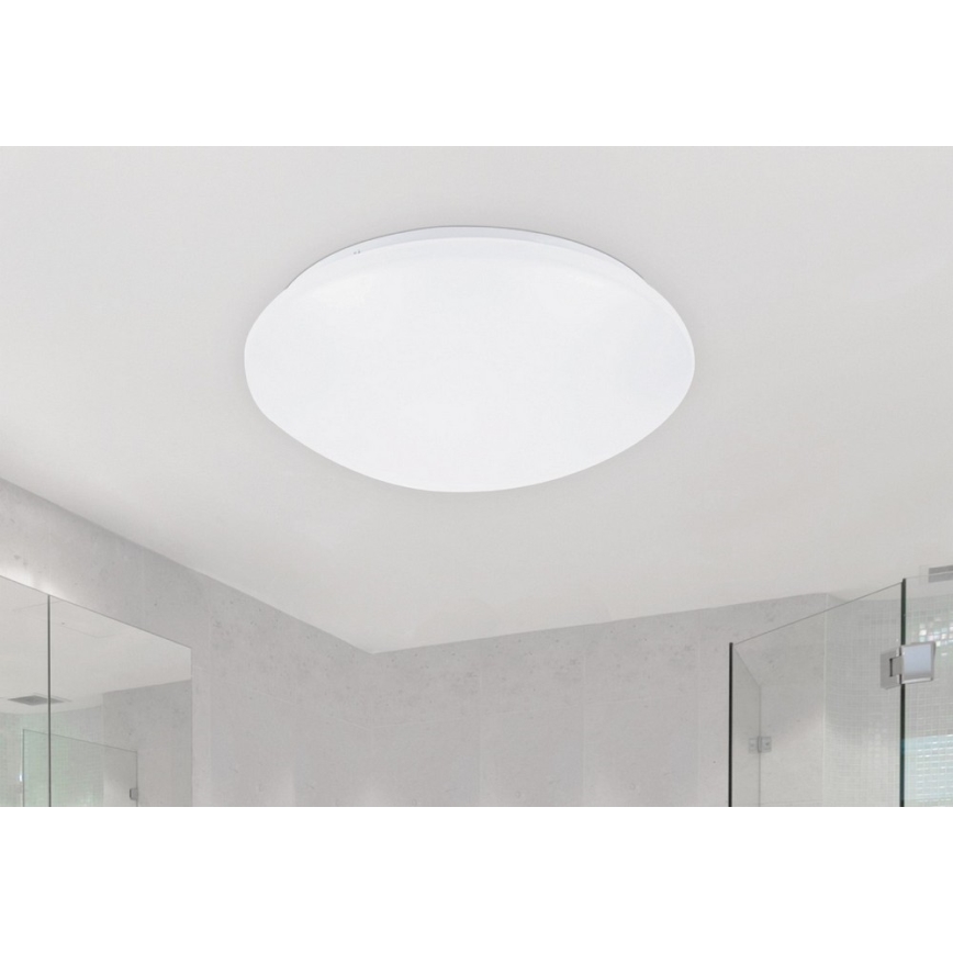 Rabalux - LED griestu gaismeklis 1xLED/24W/230V