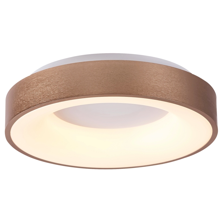 Rabalux - LED Griestu lampa CARMELA LED/30W/230V