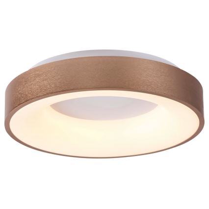 Rabalux - LED Griestu lampa CARMELA LED/50W/230V