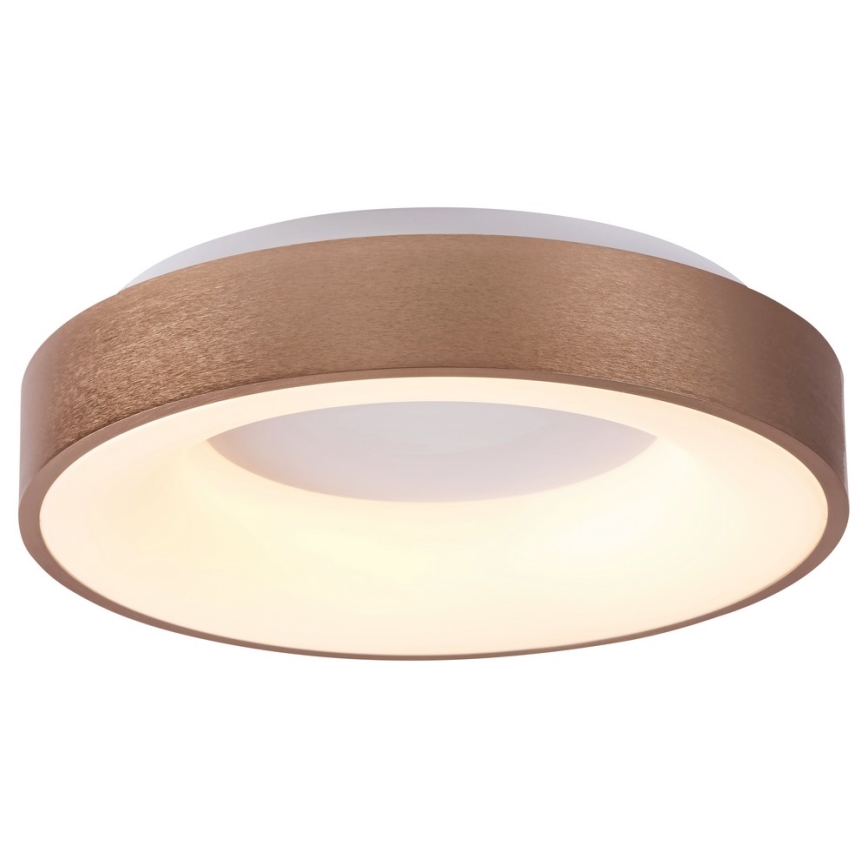 Rabalux - LED Griestu lampa CARMELA LED/50W/230V