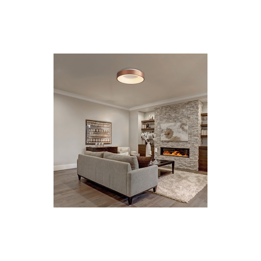 Rabalux - LED Griestu lampa CARMELA LED/50W/230V