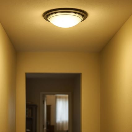 Rabalux - Griestu lampa 2xE27/60W/230V pr. 38 cm