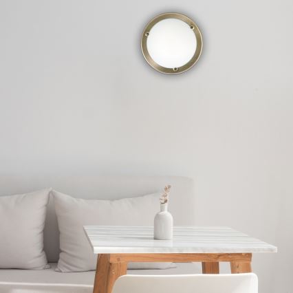 Rabalux - Griestu lampa 1xE27/60W/230V d. 28,5 cm