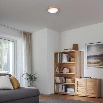 Rabalux - Griestu lampa 1xE27/60W/230V d. 30 cm