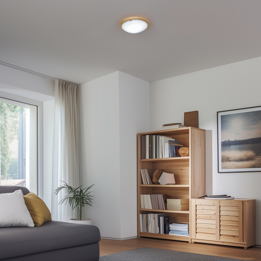 Rabalux - Griestu lampa 1xE27/60W/230V d. 30 cm