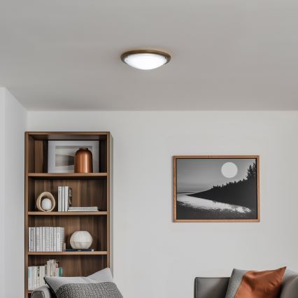 Rabalux - Griestu lampa 1xE27/60W/230V d. 30 cm